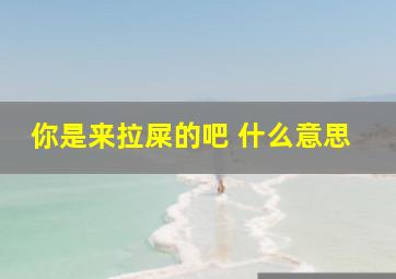 你是来拉屎的吧 什么意思